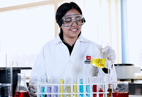 Doctor of Pharmacy Pharm D